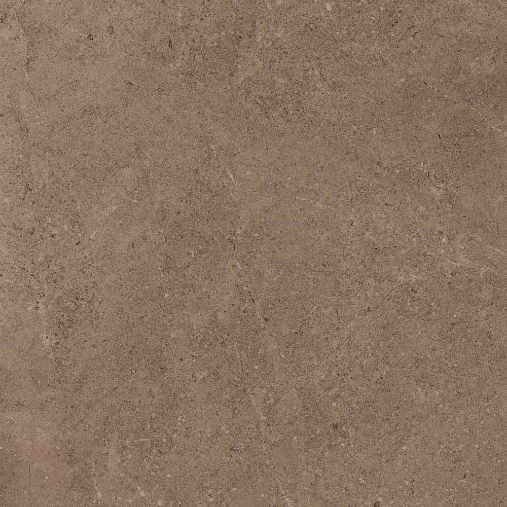 Керамогранит GO02 60x60 Непол.Рект. (Керамический гранит)-2