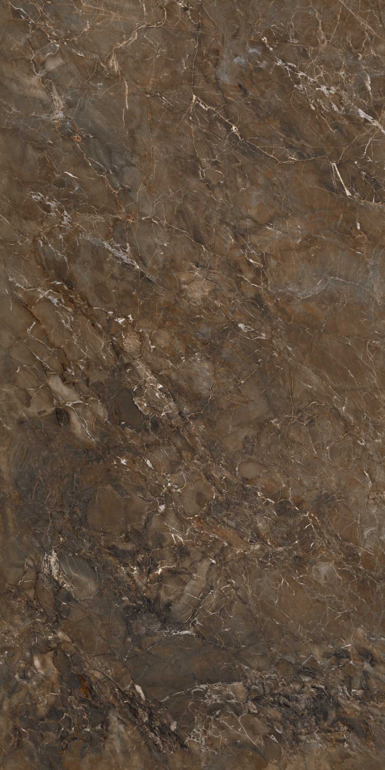 Керамогранит BR04 60x120x10 Полир. (Керамический гранит)-1