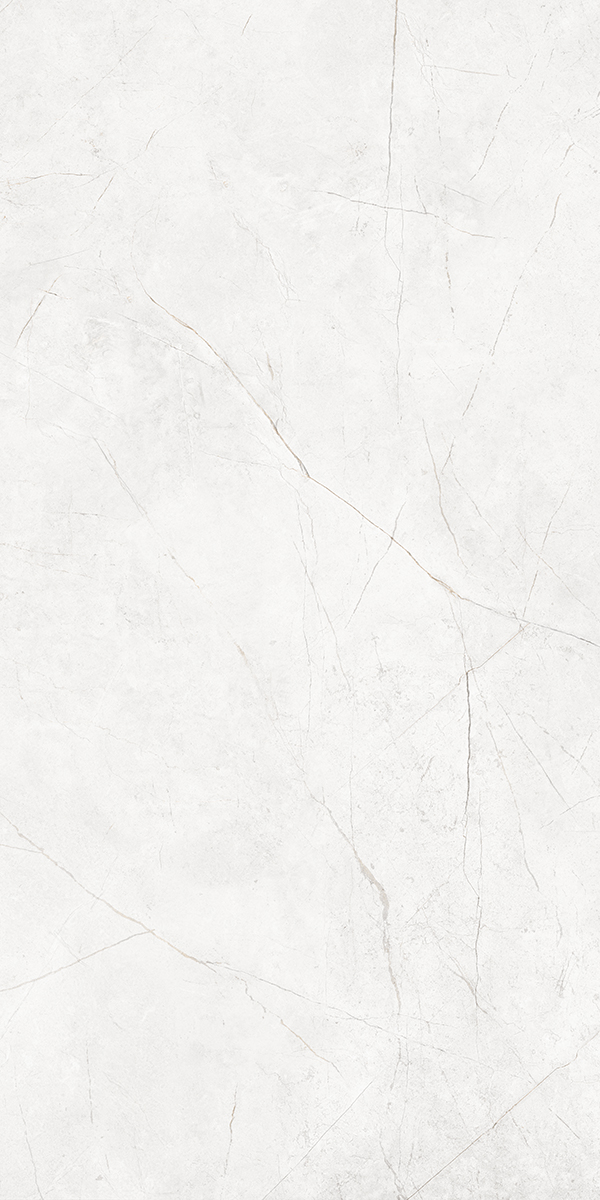 Керамогранит NL00 80x160x10 Непол.Рект. (Керамический гранит)-5