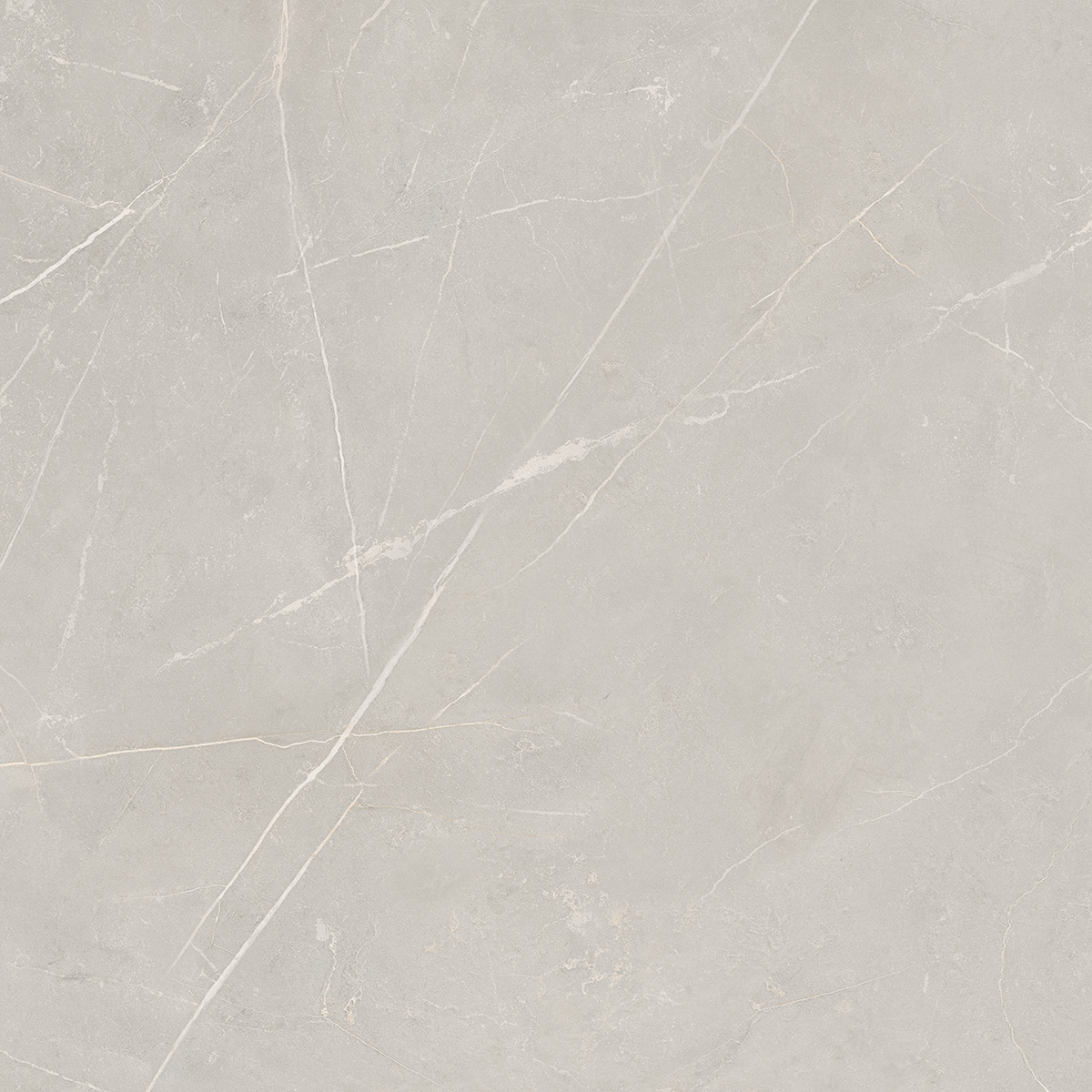 Керамогранит NL02 60x60x10 Непол.Рект. (Керамический гранит)-8