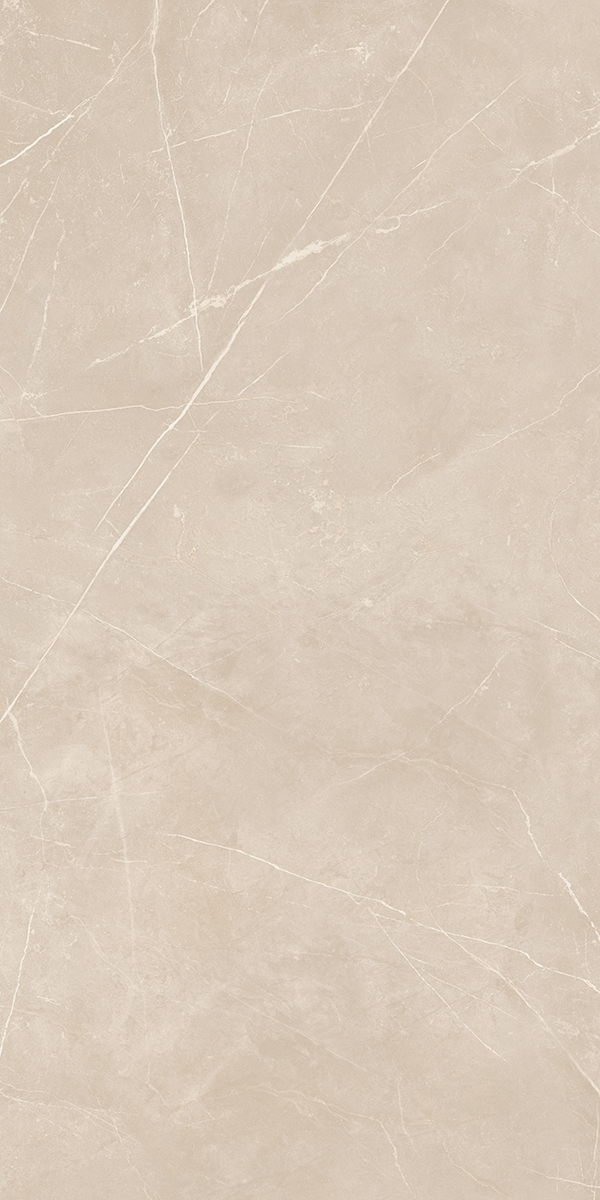 Керамогранит NL01 60x120x10 Полир. (Керамический гранит)-4