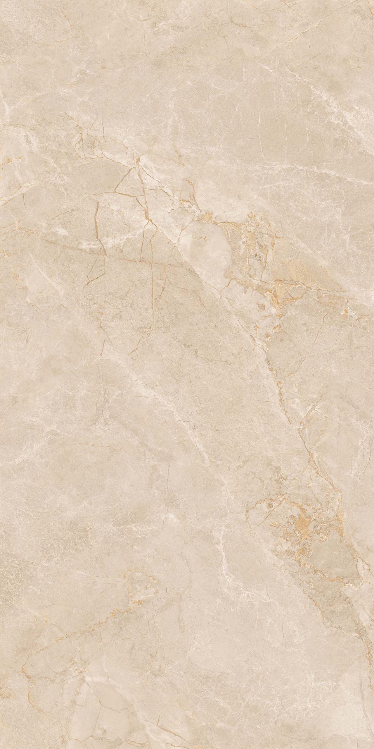 Керамогранит EXM301 60x120x9 Непол.Рект. (Керамический гранит)-2