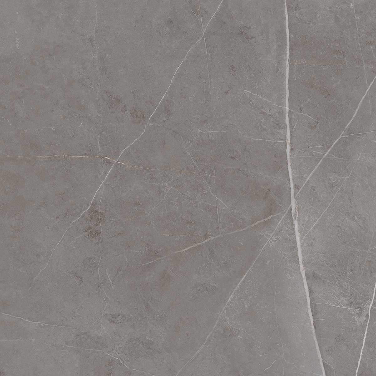 Керамогранит NL03 60x60x10 Непол.Рект. (Керамический гранит)-7