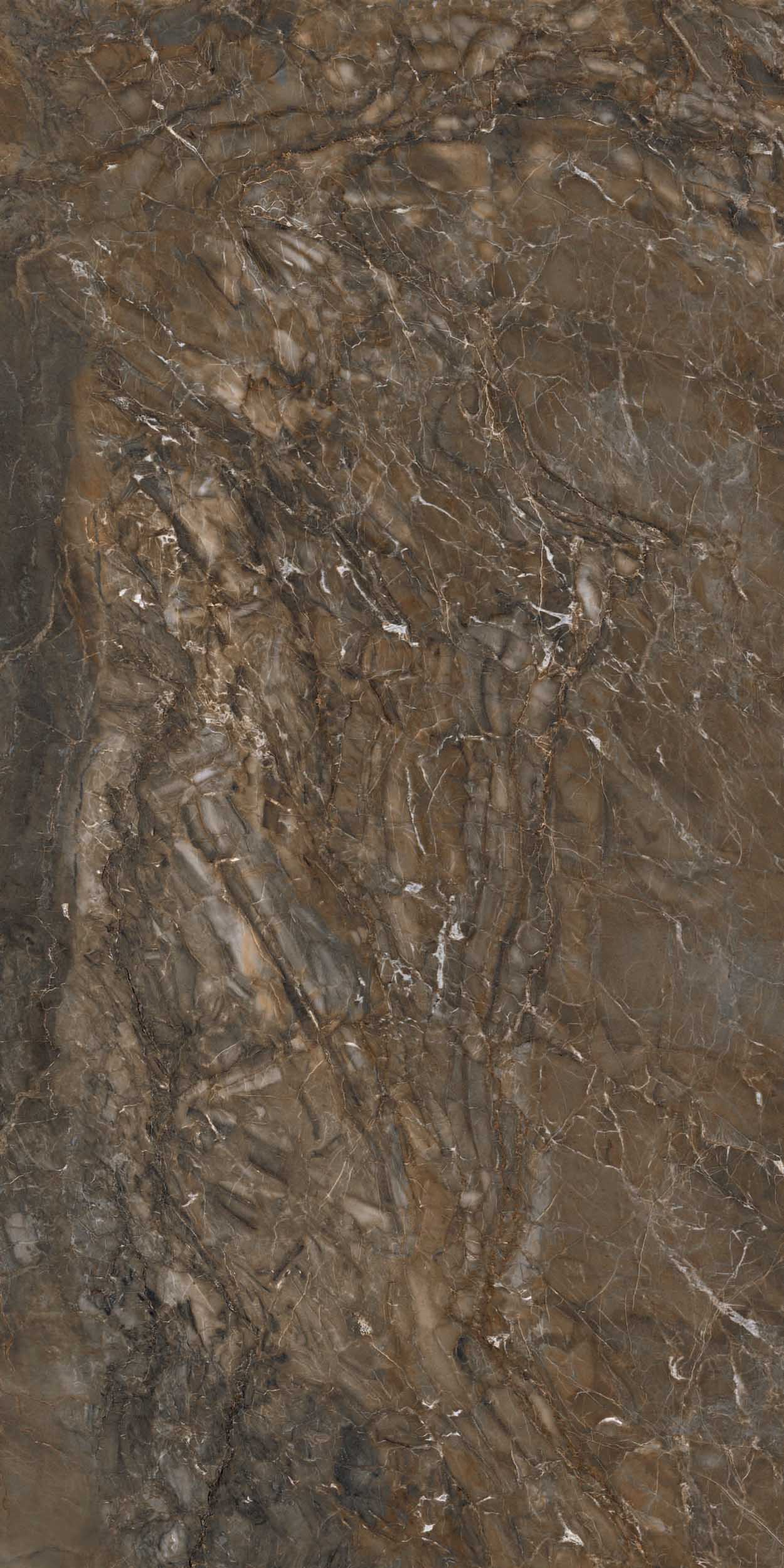 Керамогранит BR04 60x120x10 Полир. (Керамический гранит)-3