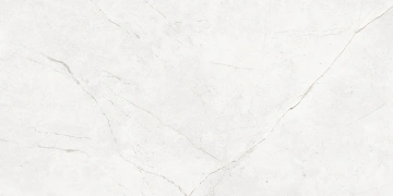 Керамогранит  NL04 60x60x10 Непол.Рект. (Керамический гранит) _7