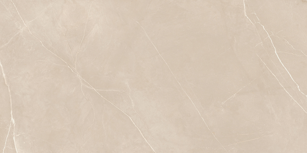 Керамогранит NL01 60x120x10 Непол.Рект. (Керамический гранит)-9