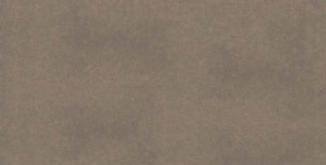 Керамогранит  CA04 60x120x10 Непол.Рект. (Керамический гранит)