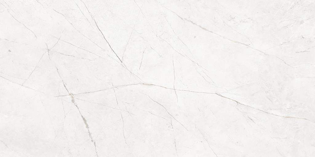 Керамогранит NL00 60x120x9 Полир. (Керамический гранит)-10