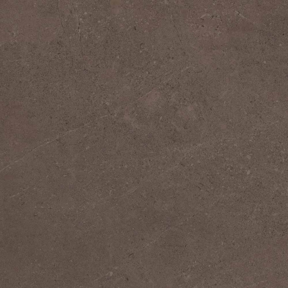 Керамогранит GO03 60x60 Непол.Рект. (Керамический гранит)-1
