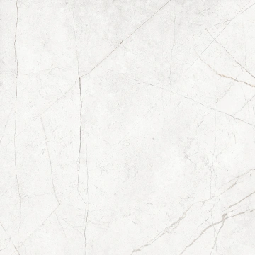 Керамогранит  NL04 60x60x9 Непол.Рект. (Керамический гранит) _3