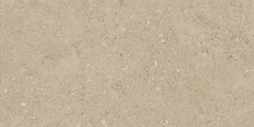 Керамогранит  NP01 30,6x60,9x8 Непол. (Керамический гранит) _6