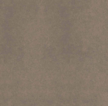 Керамогранит CA04 60x60x10 Непол.Рект. (Керамический гранит)-6