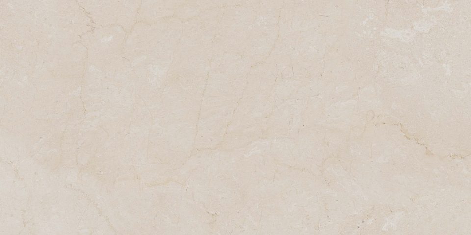 Керамогранит AEM00 60x120x9 Непол.Рект. (Керамический гранит) #8