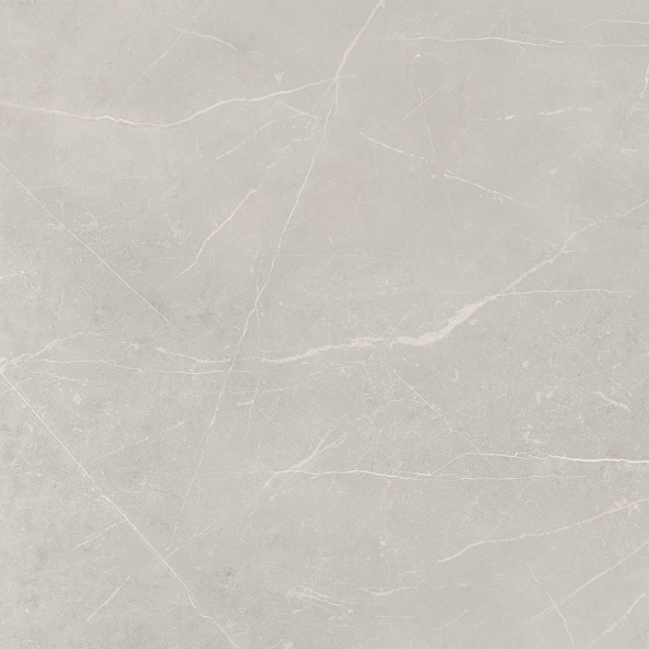 Керамогранит NL02 60x60x10 Полир. (Керамический гранит)-19