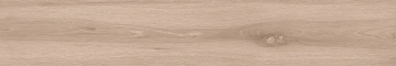 Керамогранит  BG01 19,4x120x10 Непол.Рект. (Керамический гранит) _19