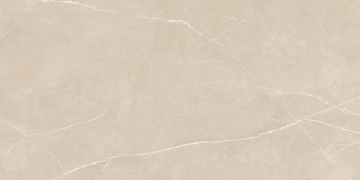 Керамогранит  NL00 60x120x9 Непол.Рект. (Керамический гранит) _6