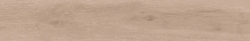 Керамогранит  BG01 19,4x120x10 Непол.Рект. (Керамический гранит) _20
