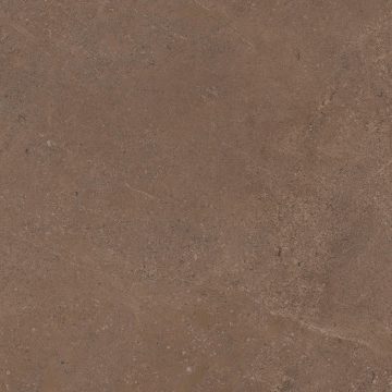 Керамогранит GO02 60x60x9 Непол.Рект. (Керамический гранит) #6