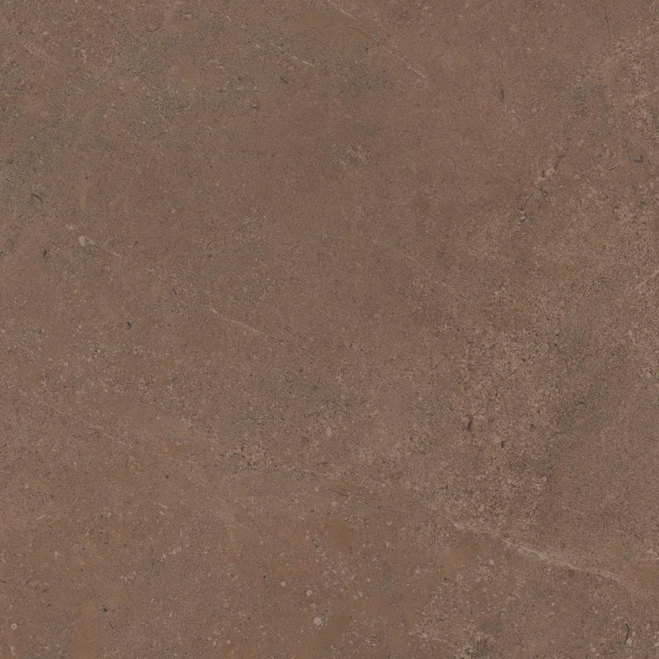 Керамогранит GO02 60x60x9 Непол.Рект. (Керамический гранит) #6