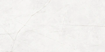 Керамогранит  NL04 60x60x10 Непол.Рект. (Керамический гранит) _5