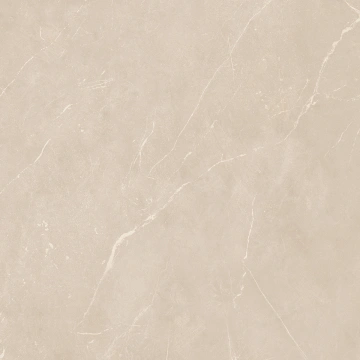 Керамогранит  NL00 60x60x9 Полир. (Керамический гранит) _12