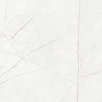 Керамогранит NL00 60x60x9 Полир. (Керамический гранит)-10