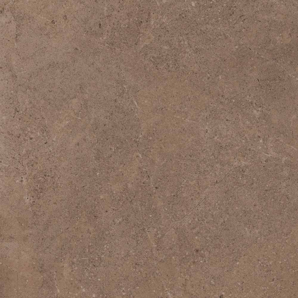 Керамогранит GO02 60x60 Непол.Рект. (Керамический гранит)-2