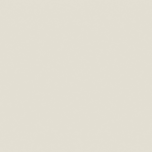 Керамогранит YC05 60x60 Непол.Рект. (Керамический гранит)-1