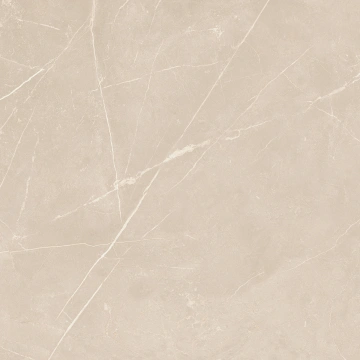 Керамогранит  NL00 60x60x10 Полир. (Керамический гранит) _6