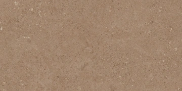 NP03 30,6x60,9x8 Непол. (Керамический гранит)_2