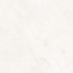 Керамогранит MA00 60x60x9 Непол.Рект. (Керамический гранит) #8