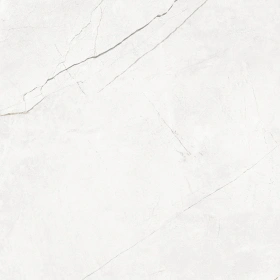 NL00 60x60x9 Полир. (Керамический гранит)_1