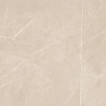 Керамогранит  NL00 60x60x9 Полир. (Керамический гранит) _5