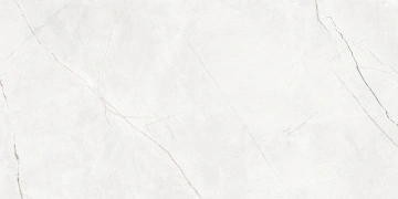 Керамогранит  EXM301 60x120x9 Непол.Рект. (Керамический гранит) _9
