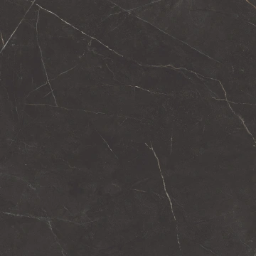 Керамогранит  NL03 60x60x10 Непол.Рект. (Керамический гранит) _5