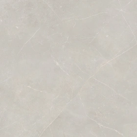 Керамогранит  NL01 60x60x10 Непол.Рект. (Керамический гранит) _1