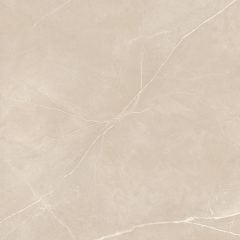 Керамогранит NL01 60x60x9 Полир. (Керамический гранит) #19