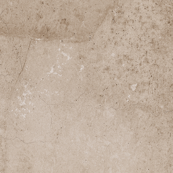 EE02 30,6x60,9x8 Непол.