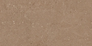 NP03 30,6x60,9x8 Непол. (Керамический гранит)_5