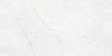 Керамогранит  EXM301 60x120x9 Непол.Рект. (Керамический гранит) _8