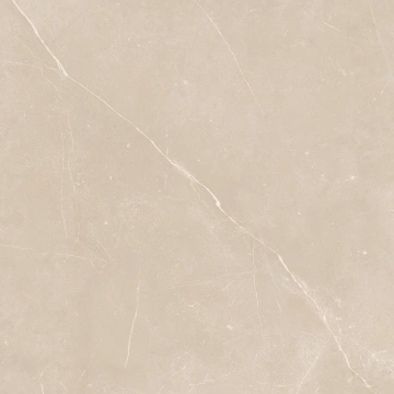 Керамогранит  NL00 60x60x10 Полир. (Керамический гранит) _12