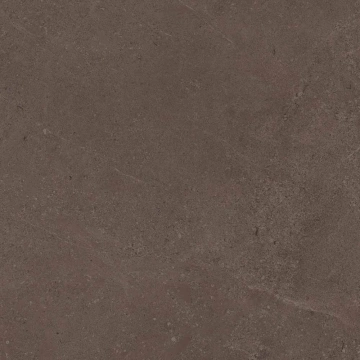 Керамогранит  GO02 60x60 Непол.Рект. (Керамический гранит) _5