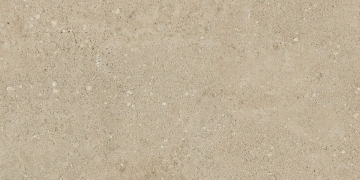 Керамогранит  NP01 30,6x60,9x8 Непол. (Керамический гранит) _5