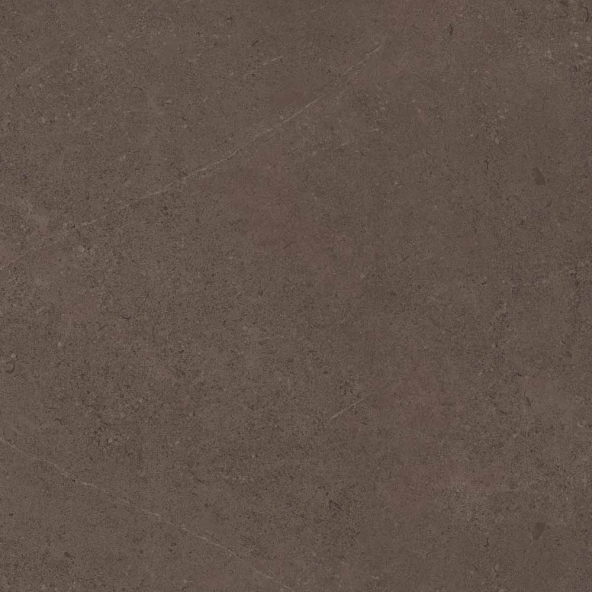 Керамогранит GO03 60x60 Непол.Рект. (Керамический гранит)-3