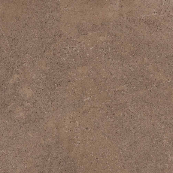 GO02 60x120x10 Непол.Рект.