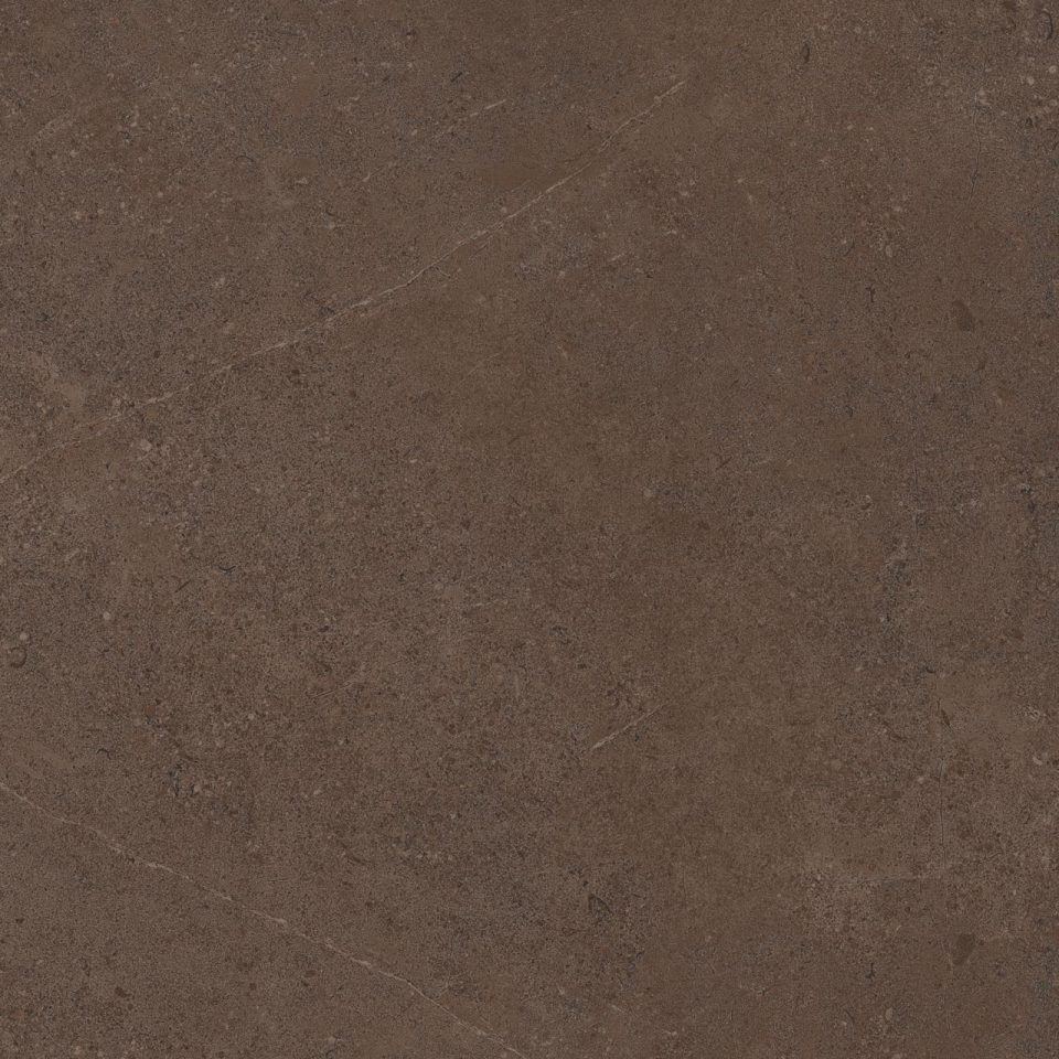 Керамогранит GO03 60x60x9 Непол.Рект. (Керамический гранит) #3