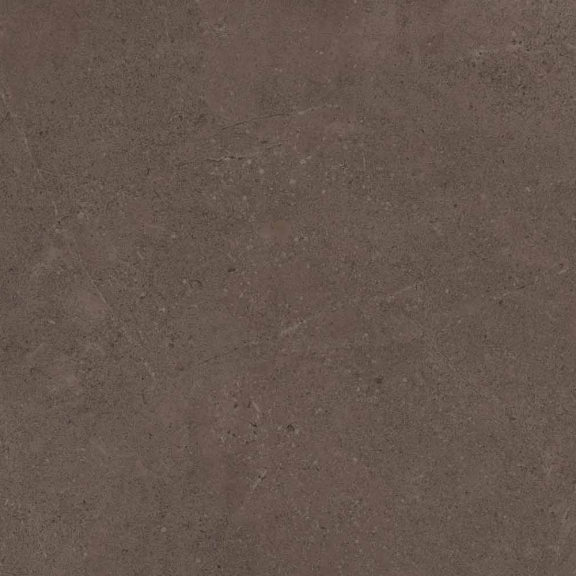 GO03 60x120x10 Непол.Рект.