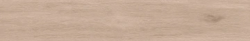 Керамогранит  BG01 19,4x120x10 Непол.Рект. (Керамический гранит) _1
