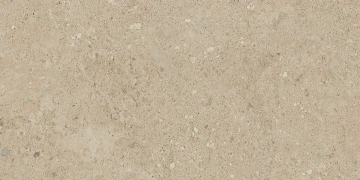 NP02 30,6x60,9x8 Непол. (Керамический гранит)_9