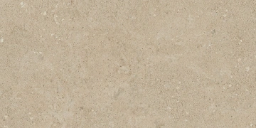 NP02 30,6x60,9x8 Непол. (Керамический гранит)_2